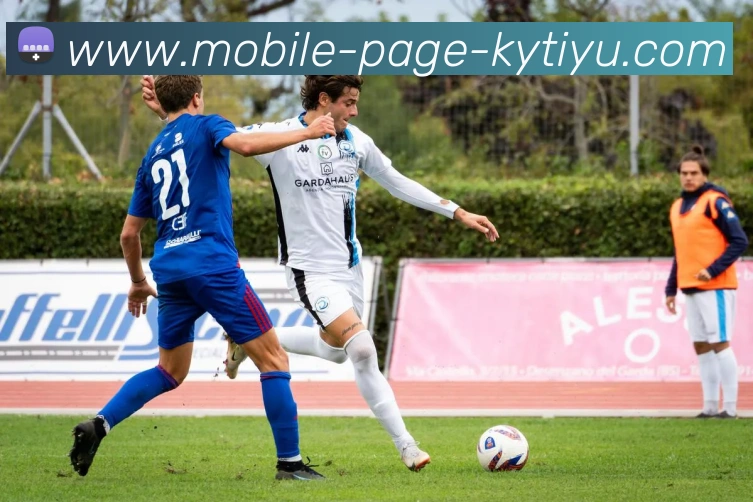 开云体育APP 封面图